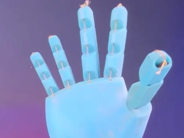 Robotic Hands