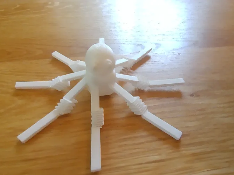 octopus