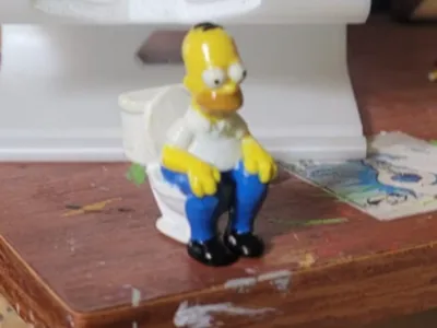 Homer in the bathroom