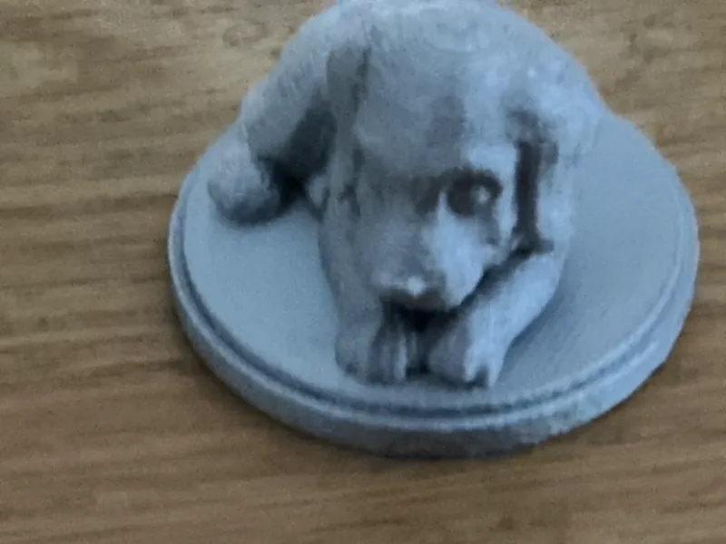 Puppy