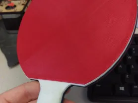 ping pong paddles