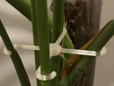 Branch support