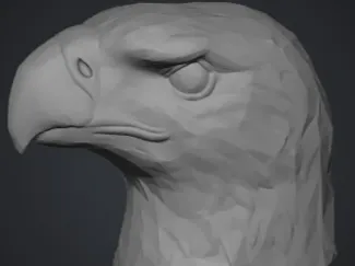 eagle head
