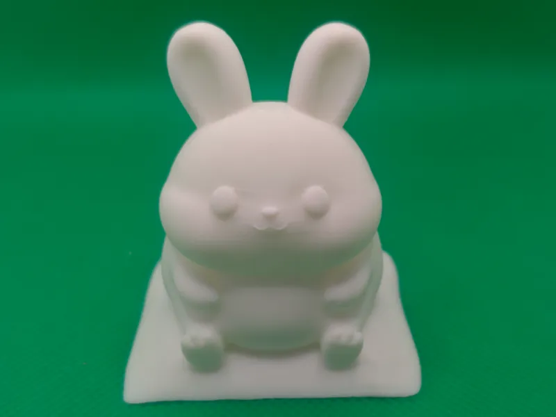 认真听课的小白兔
