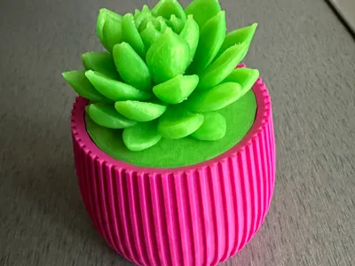 Glow Succulent