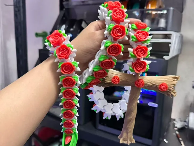 玫瑰剑鞭