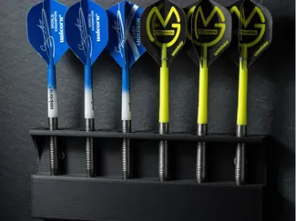 Dart Holder