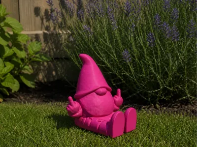 Special Garden Gnome