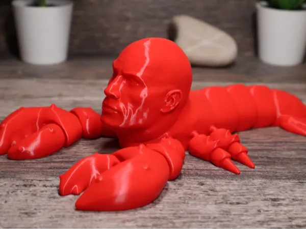 https://makerworld.bblmw.com/makerworld/model/DSM00000002788969/design/c8aca0bc70044aa0.jpg