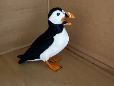 Puffin from Norway