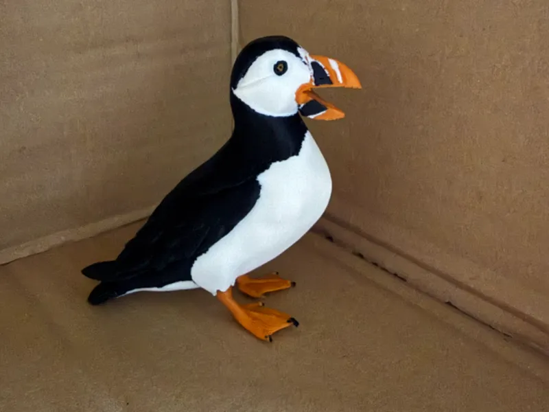 Puffin from Norway