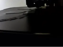 liopluracroc