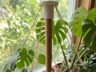 Suspended Plant Support, Dowel cap, Plant trellis