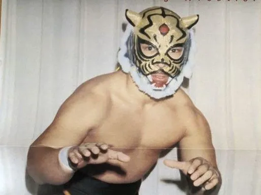 Tiger mask