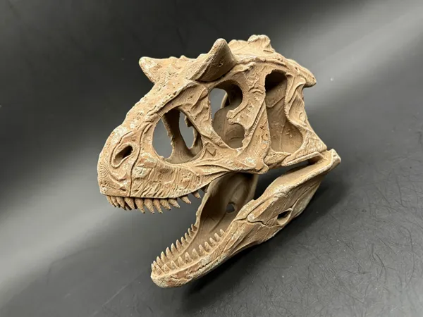 https://makerworld.bblmw.com/makerworld/model/DSM00000002793336/design/34a28ff817cfecd3.png