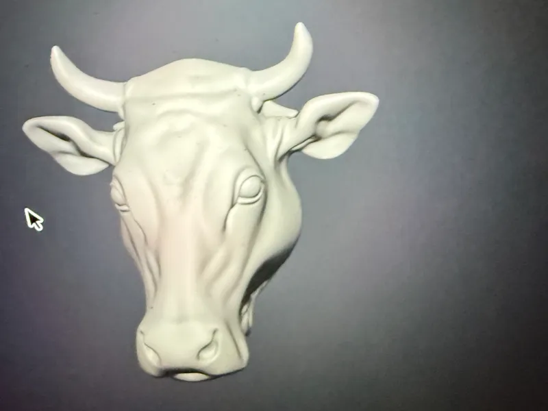 Bull Head_