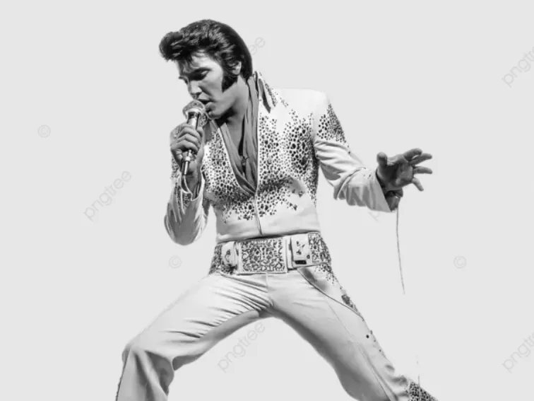 Elvis 3d white suite
