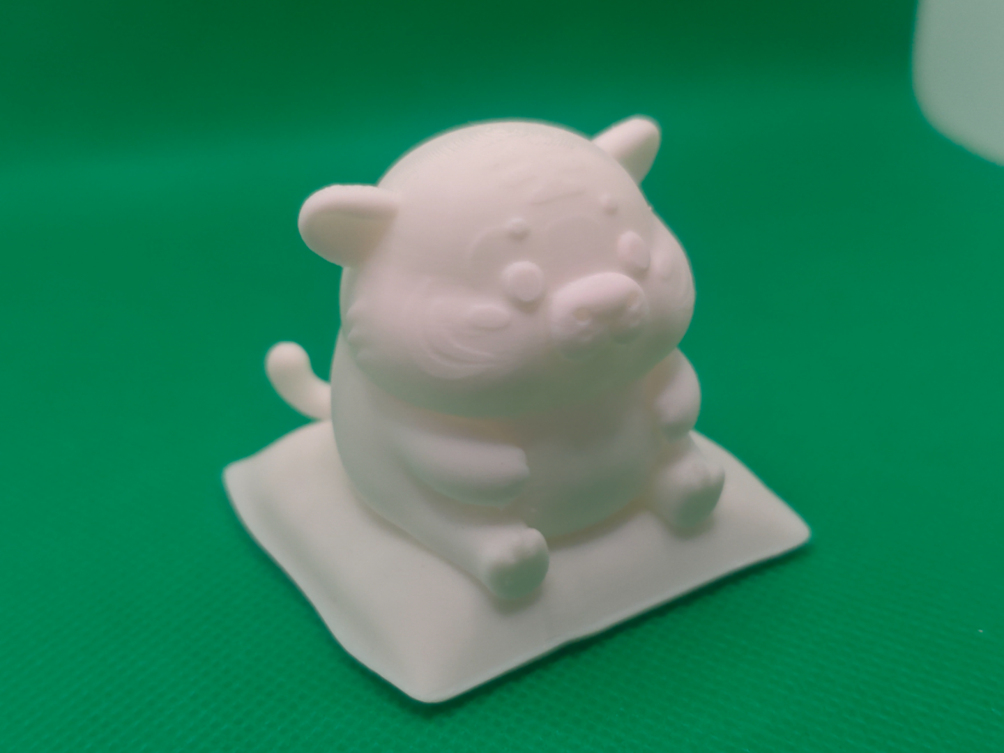 认真听课的小老虎
