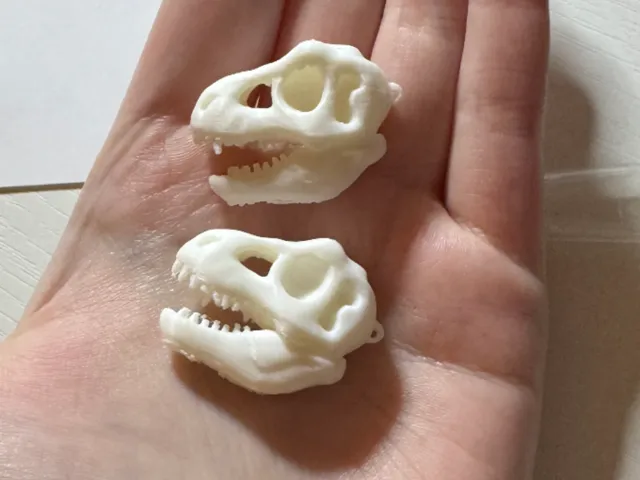 T Rex Skull earrings