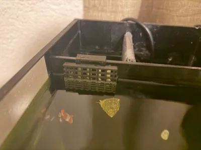 Waterbox 35.2 Fish Guard
