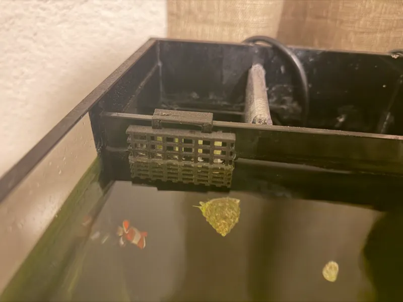 Waterbox 35.2 Fish Guard