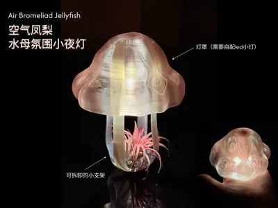 Jellyfish Air Plant Ambient Night Light