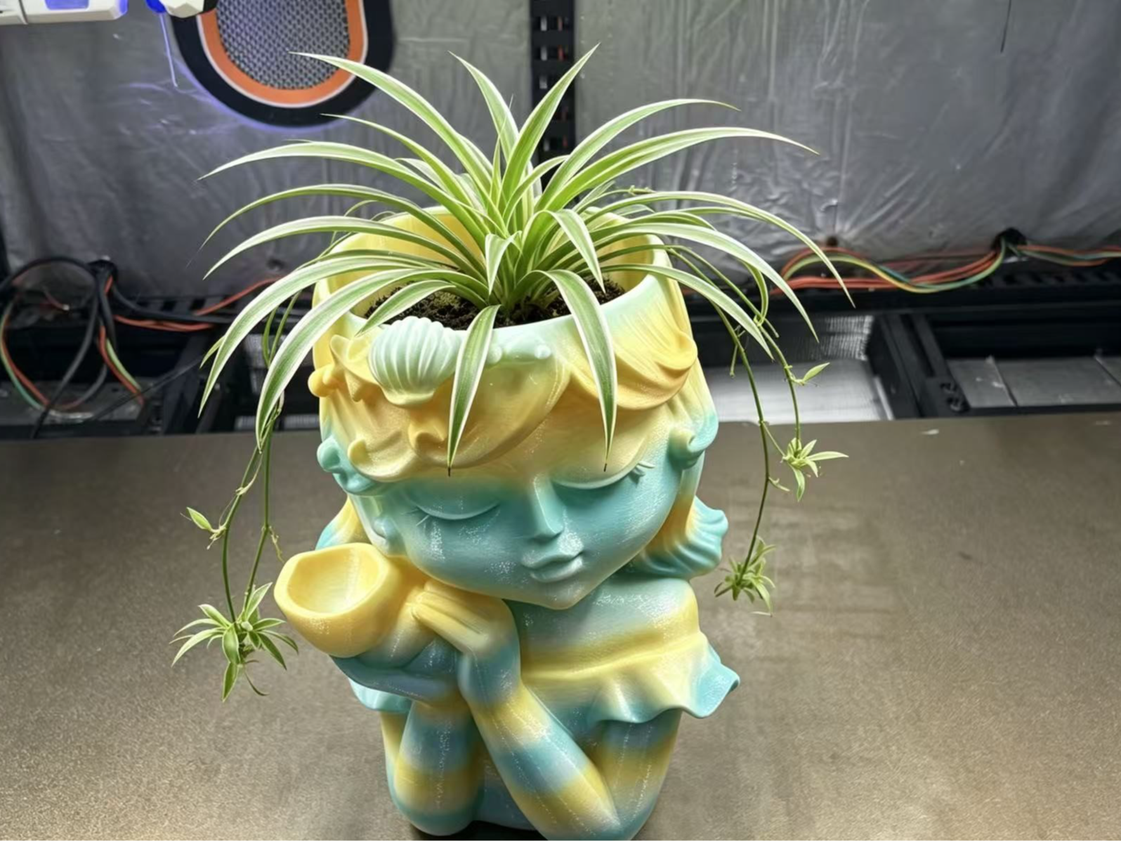 梦幻少女花盆