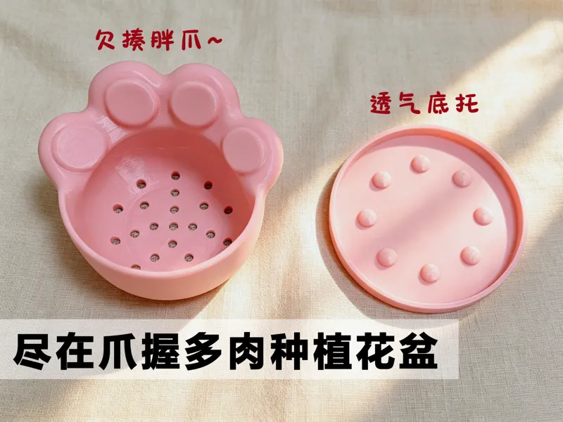 “尽在爪握”超萌猫爪多肉种植花盆