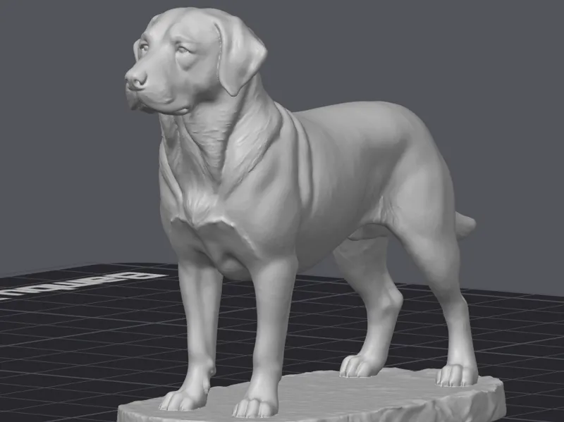 Dog_Labrador