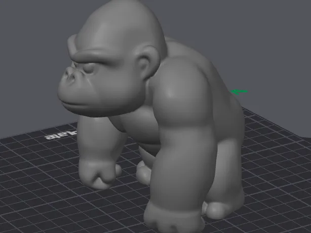 Gorilla