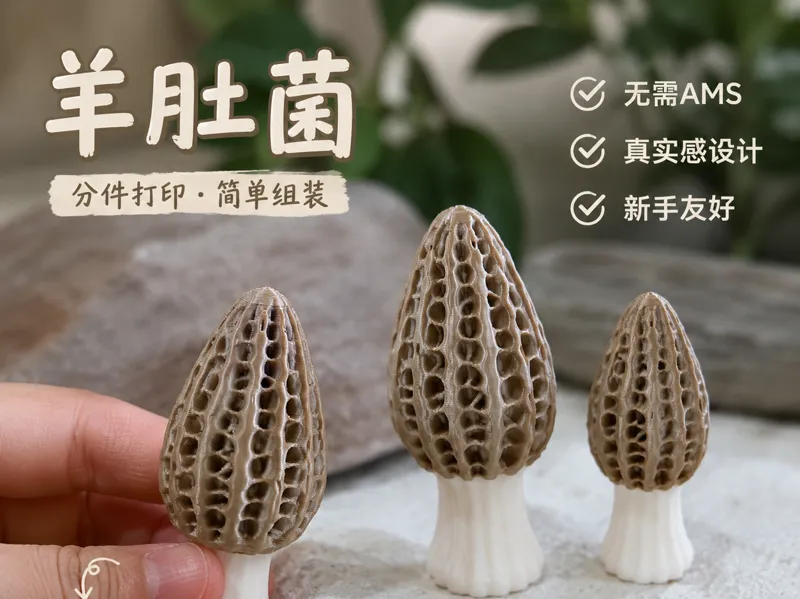 【no AMS】羊肚菌 分件 真实纹理 细节丰富
