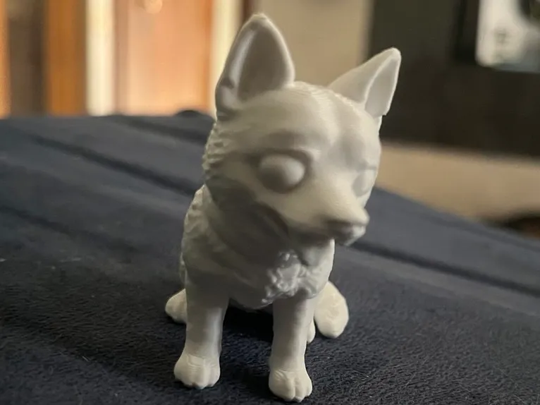 Cute Dog