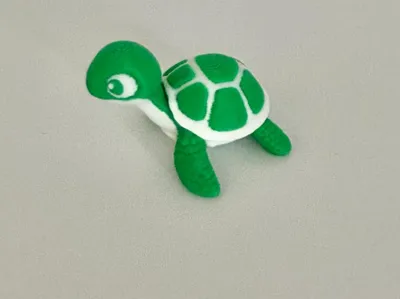 Adorable Turtle