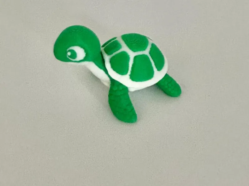 Tortuga adorable