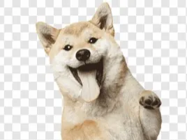 Perro asomado