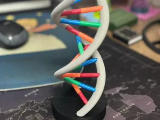 Modelo de DNA Multicolorido - A1 mini