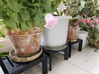 重载鲜花植物种植盆花盆升高支架