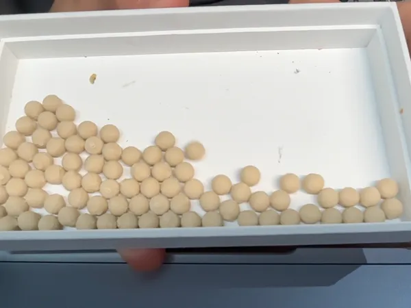 https://makerworld.bblmw.com/makerworld/model/DSM00000002811293/design/0f5d73cf08012ca8.png