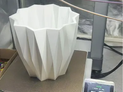 Big flower pot