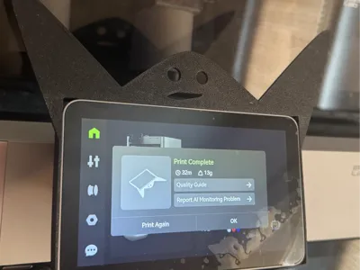 X1 Carbon Screen Buddy