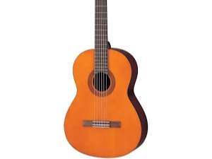 guitaer