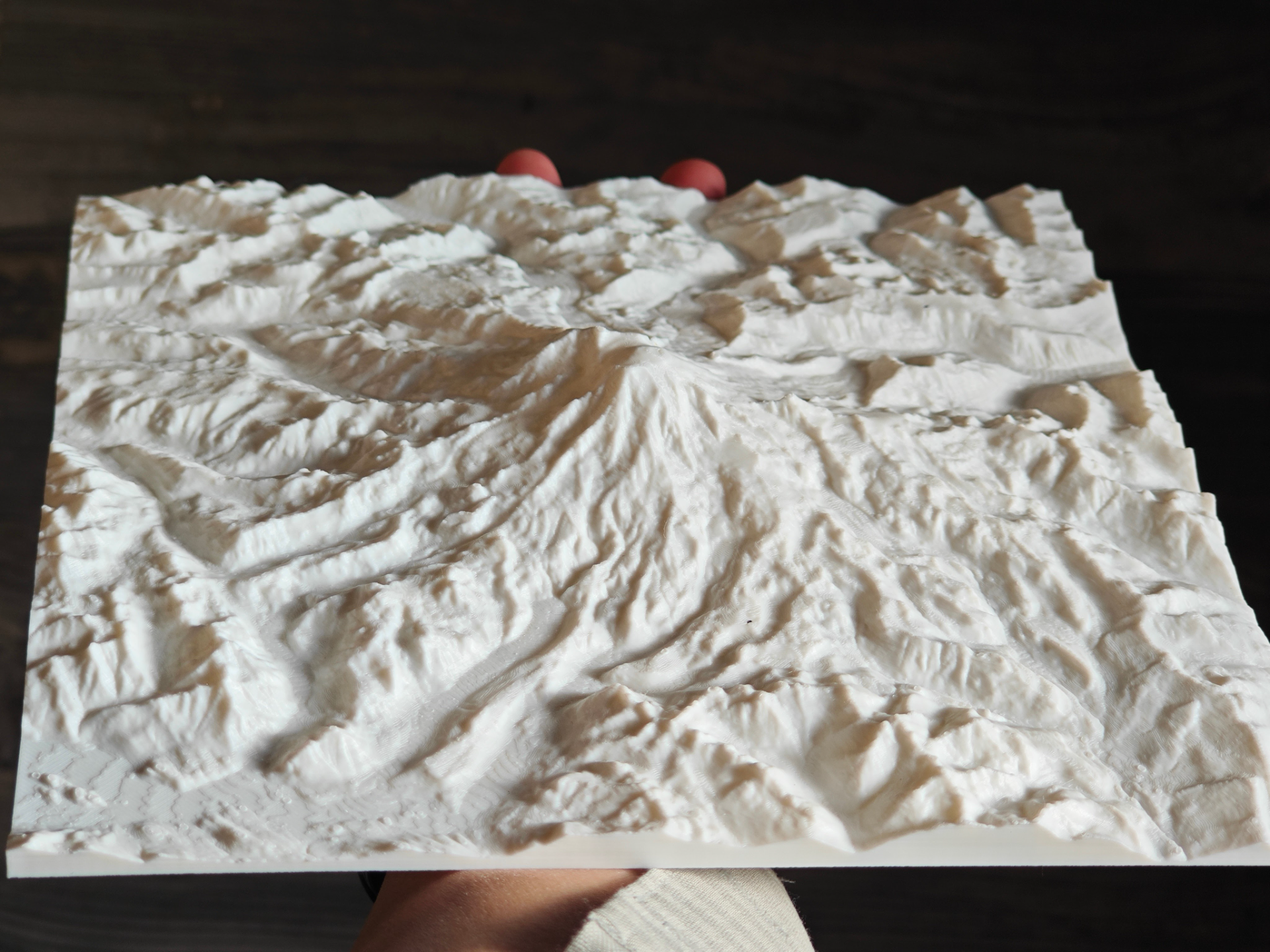 233*233 Mount Rainier 30 km Topographic Model