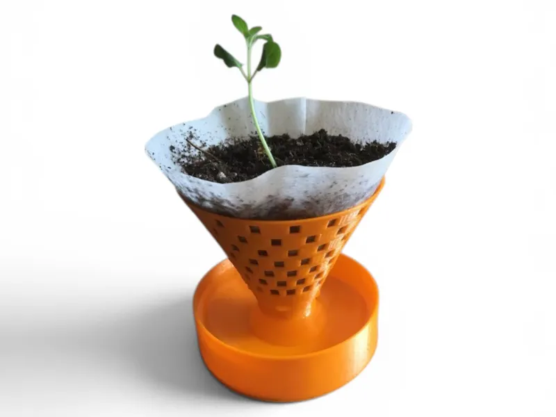 Model Example
