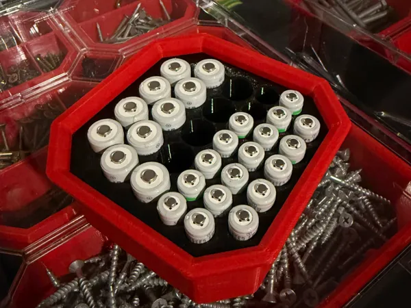 https://makerworld.bblmw.com/makerworld/model/DSM00000002816566/design/e2d30980801e018b.png