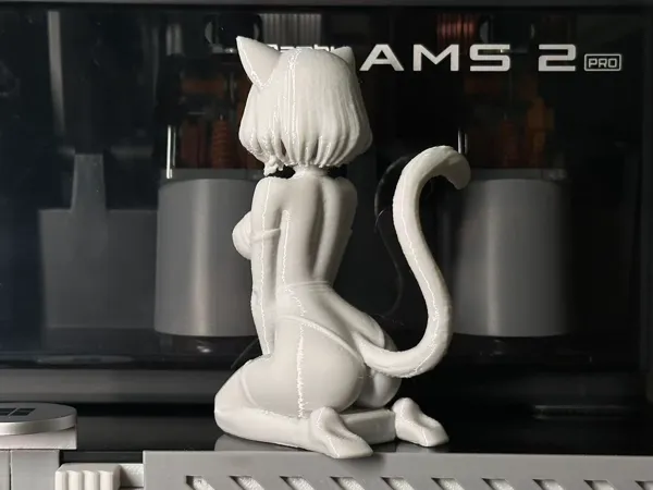 https://makerworld.bblmw.com/makerworld/model/DSM00000002816824/design/02279a5c2cf9d8fe.jpg