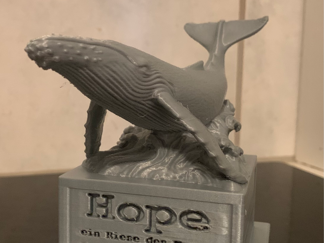 Buckelwal Hope „Timm“ – Stylized Whale 