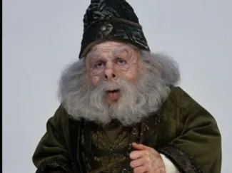 harry potter prof 01