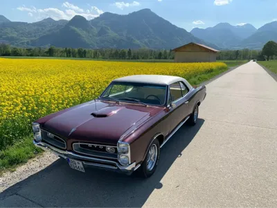 Pontiac GTO
