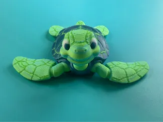 Nalu the Sea Turtle