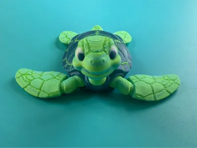 Nalu the Sea Turtle